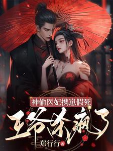 神偷医妃携崽假死,王爷杀疯了 神偷医妃携崽假死,王爷杀疯了