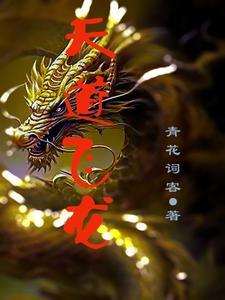 天道飞龙 天道飞龙