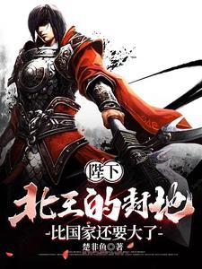 陛下,北王的封地比国家还要大了 陛下,北王的封地比国家还要大了